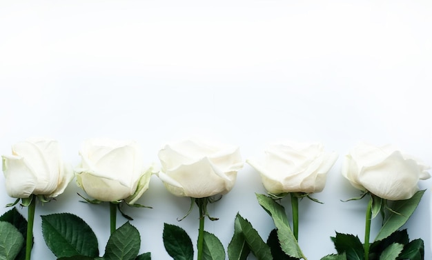 Flowers composition frame made of white flowers on white background valentines day mothers day and