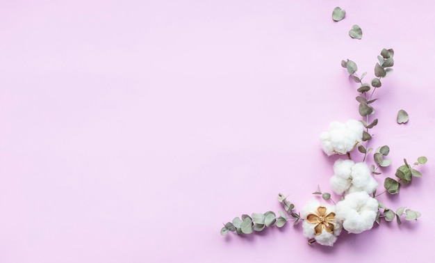 Flowers composition - fresh eucalyptus leaves and cotton flowers