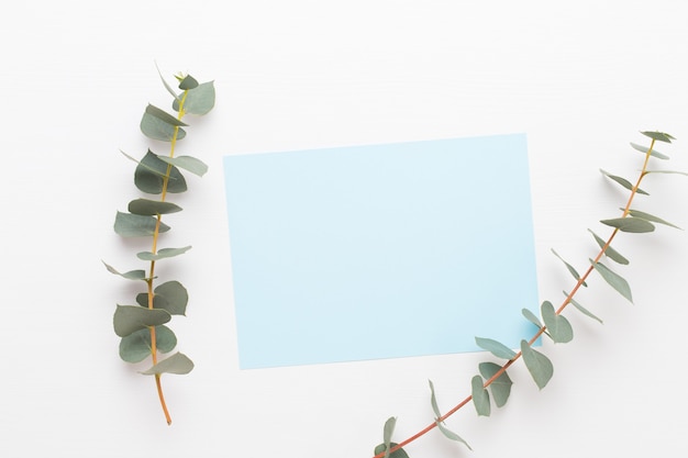 Flowers composition. Paper blank, flowers, eucalyptus branches on pastel  background. Flat lay, top view