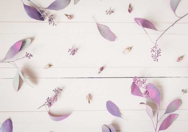 Flowers composition. Pattern made of pink flowers and eucalyptus branches on white, top view.