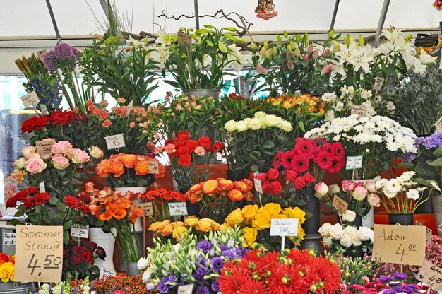 Photo flowers in containers for sale