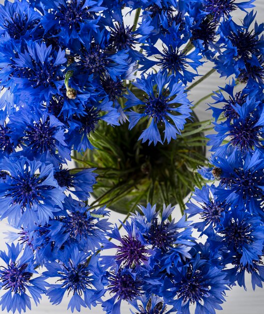 Flowers cornflowers in a vase on a black background