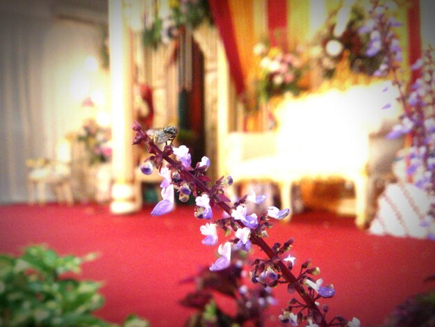 Flowers on decorated stage