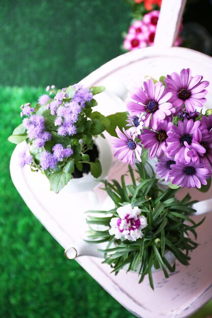 Flowers in decorative pots on chair closeup