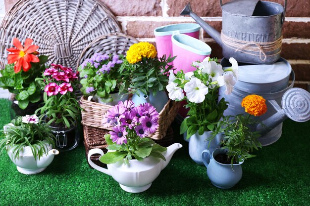 Flowers in decorative pots and garden tools on green grass background