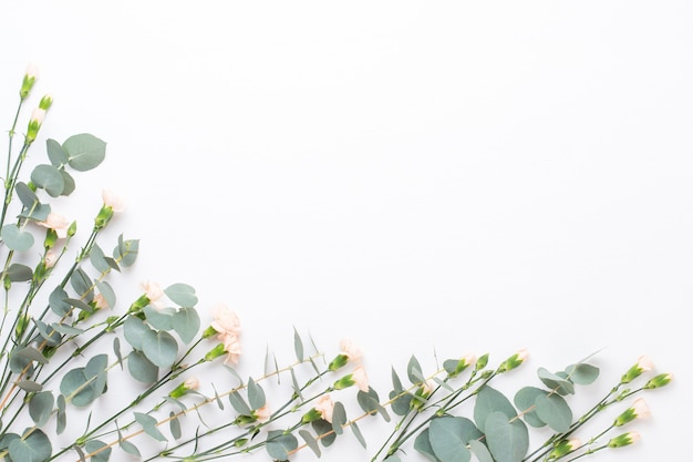 Photo flowers and eucaaliptus composition. pattern made of various colorful flowers on white background. flat lay stiil life.