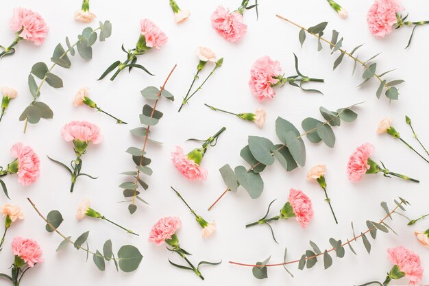 Flowers and eucaaliptus composition