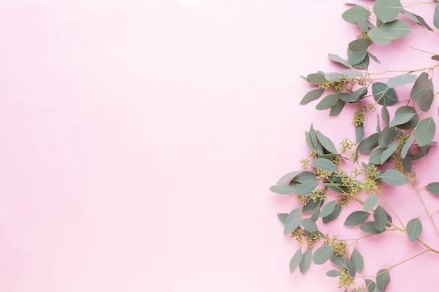 Photo flowers and eucalyptus composition made of various colorful flowers on white background. flat lay stiil life.