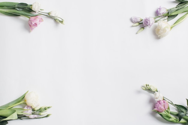 Photo flowers of eustoma on a white background.