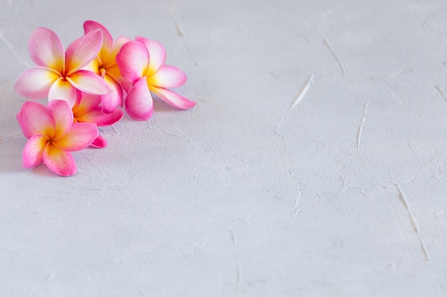 Flowers flat lay on concrete