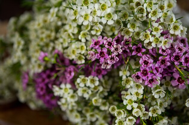 Flowers in florist shop