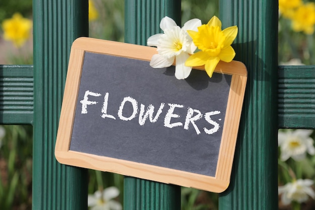 Photo flowers flower daffodil daffodils spring garden with sign board