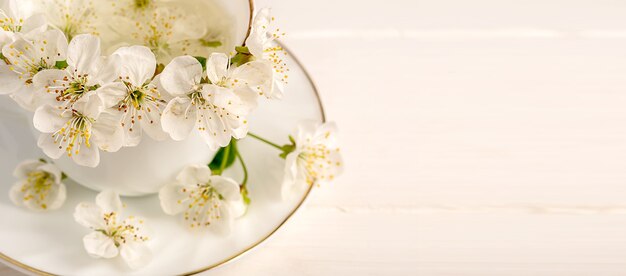 flowers from an apple tree inside white porcelain cup