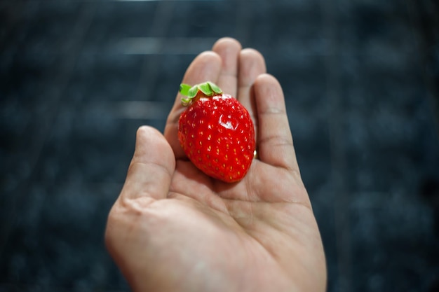 さまざまなアトラクションで手に花の果物と食べ物