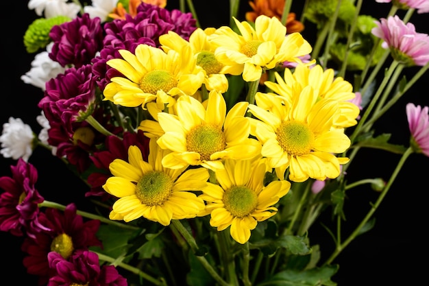 flowers in the garden, field flower