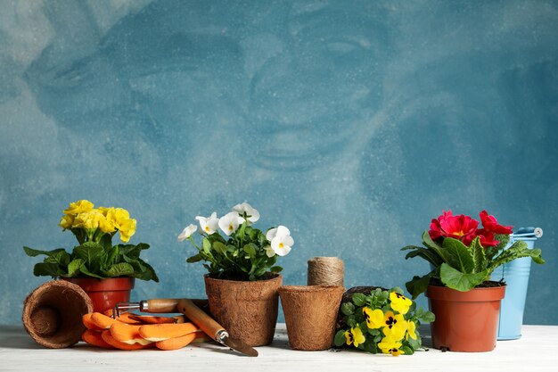 Fiori e strumenti di giardinaggio su sfondo blu, spazio per il testo