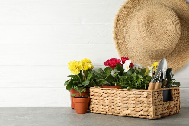 Flowers and gardening tools on grey table, space for text