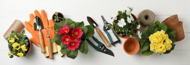 Flowers and gardening tools on wooden table, top view