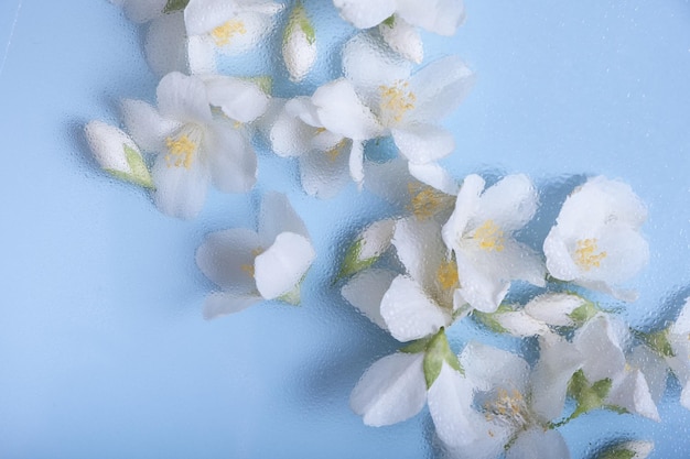 水滴とガラスの下の花トレンディな花の創造的な背景