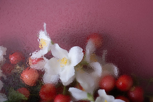 Flowers under glass with water drops Trendy floral creative background