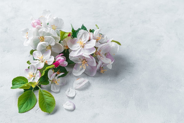 Flowers on a gray wall side view