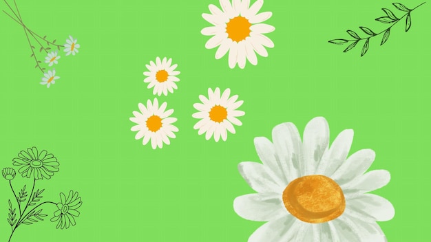 flowers on green background