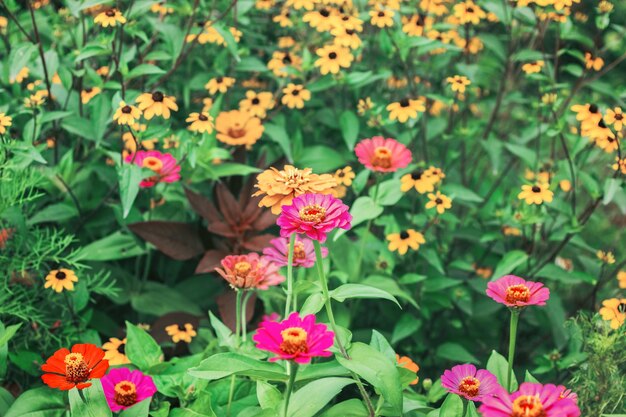 花と緑の草のテクスチャ背景屋外