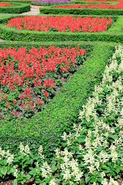 Flowers growing in field