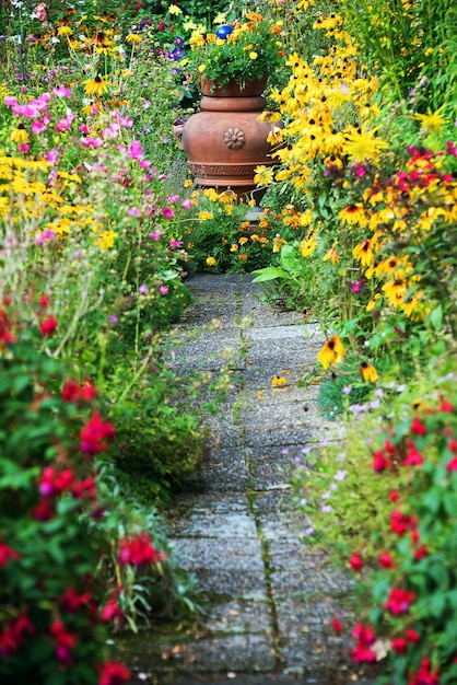 Foto fiori che crescono sulla pianta