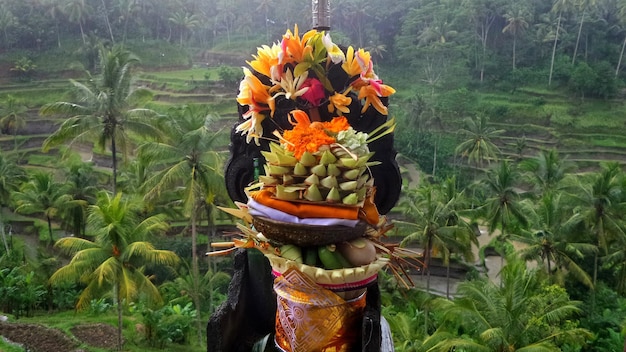 Foto fiori che crescono sull'albero