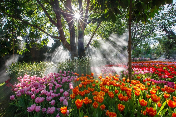 Photo flowers growing in yard