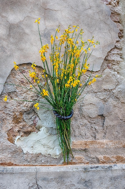 Flowers hung on the walls in Pienza Tuscany Italy