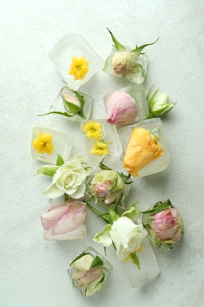 Flowers and ice cubes on white textured background