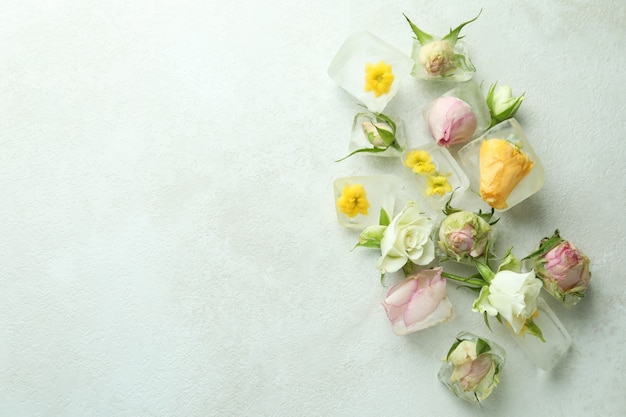 Flowers and ice cubes on white textured background