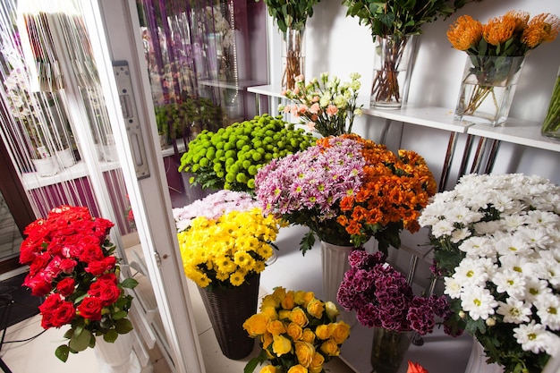 写真 鉢の中の花