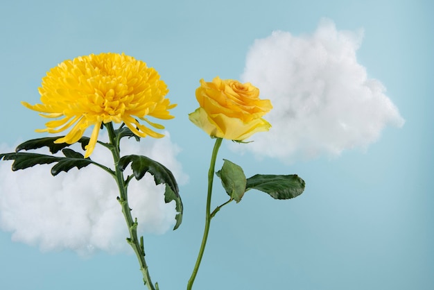 写真 空の花のコンセプトアレンジメント