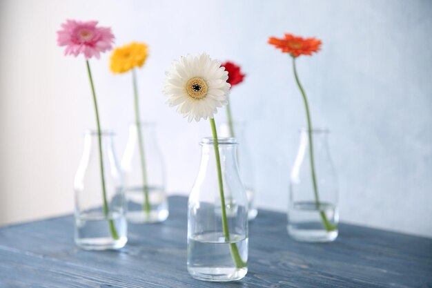 写真 色の背景の花瓶の中の花