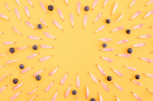 Flowers layout composition. Frame made of pink flowers and petals on yellow background. Flat lay, top view