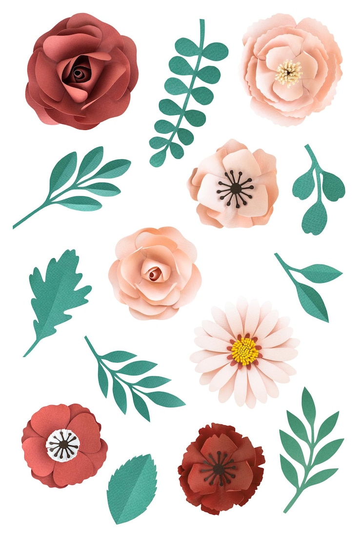 Photo 花と葉 紙の工芸品 透明 png
