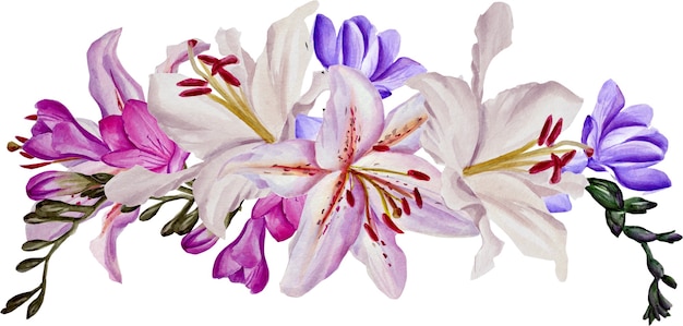 Flowers and leaves, watercolor. Watercolor illustrations