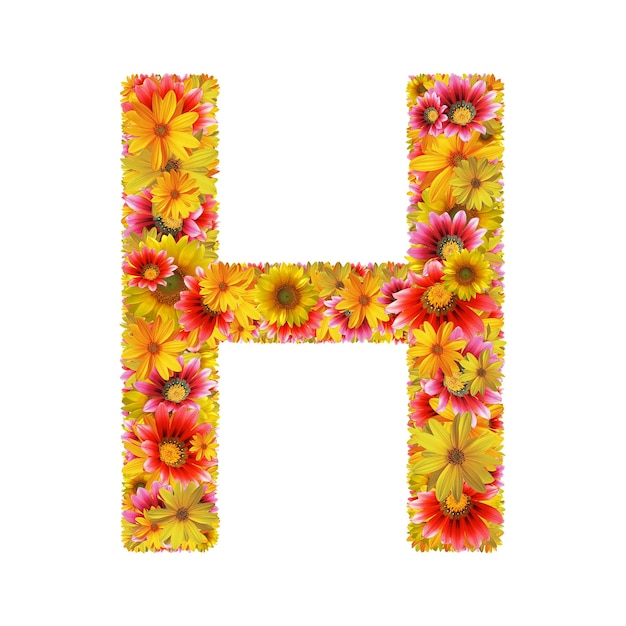花の手紙H