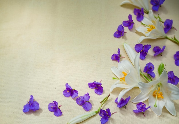 flowers on a light background
