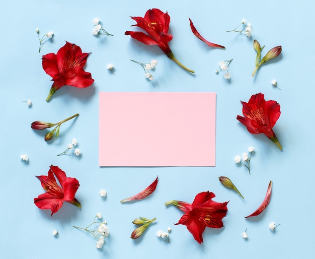 Flowers on a light blue background top view