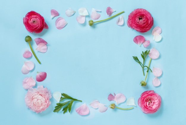 Flowers on a light blue background top view