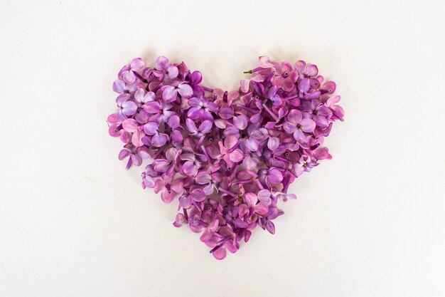 Photo flowers of a lilac in the form of a heart isolated on a white