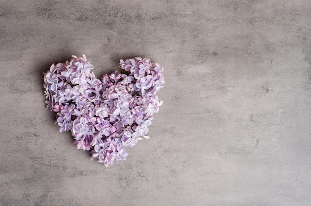 Flowers of a lilac in the form of a heart