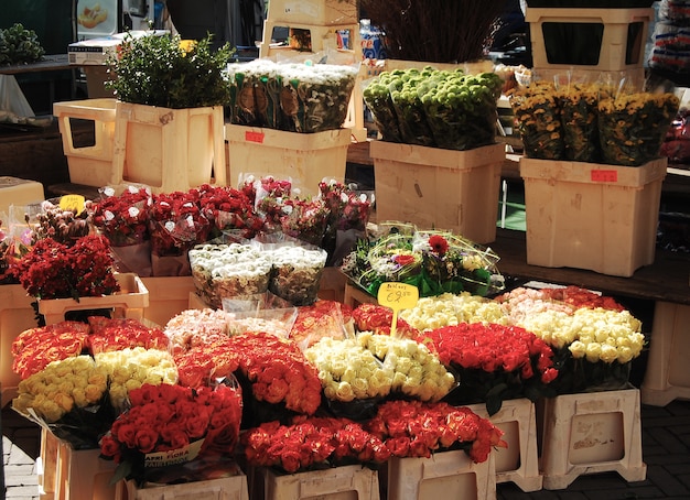 写真 アムステルダムの花市場