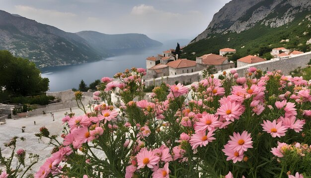 背景に湖がある山頂の花