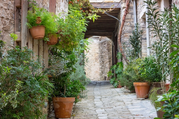 Flowers on  narrow street among the old houses