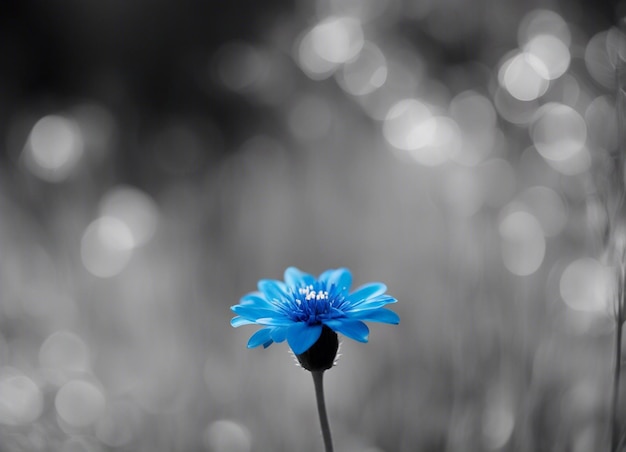 Photo a flowers in nature close up beauty petals